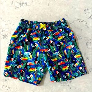 Boys Cat & Jack Swim Trunks